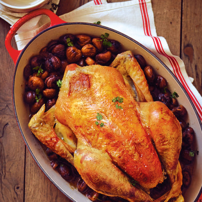 Signature Cast Iron 8-quart Cerise Oval Dutch Oven with Copper Knob
