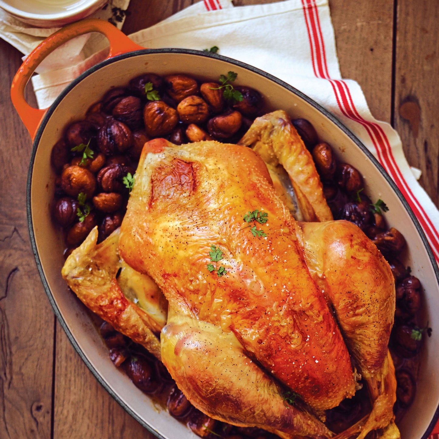 Signature Cast Iron 8-quart Flame Oval Dutch Oven with Copper Knob