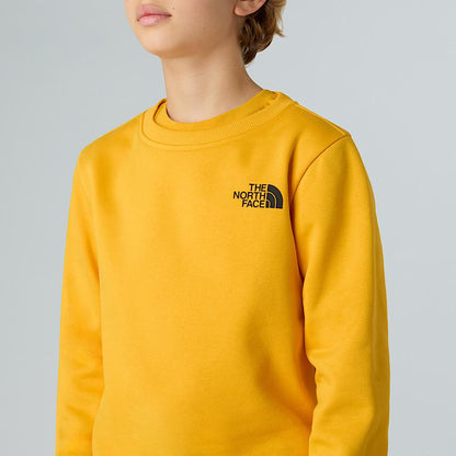 Teens' NSE Box Sweatshirt