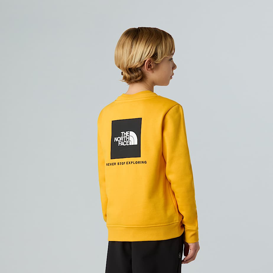Teens' NSE Box Sweatshirt